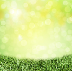 Fototapeta na wymiar Frühlingshafter Hintergrund mit Gras
