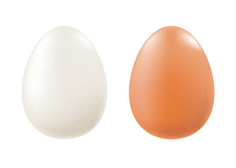 Set of chicken eggs - white and brown.