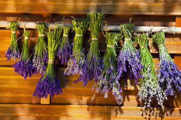 To dry hung up Scented lavender bundles