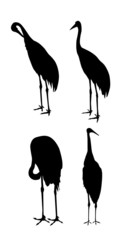Crane - vector ilustration