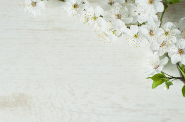 Spring flowers on wooden background