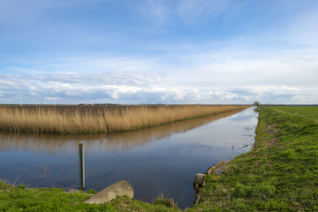 Canal through a rural landscape in spring