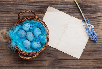 Blue quail eggs