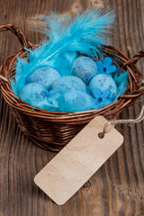 Blue quail eggs