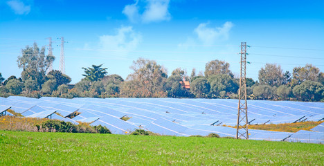solar panels in the green