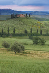 Tuscany (Italy)
