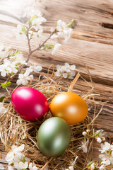 Spring white blossoms with easter eggs