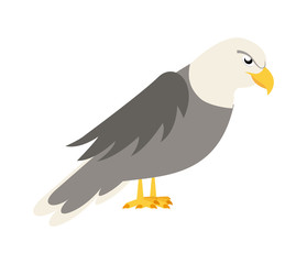Eagle design
