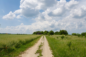 Fototapeta premium Feldweg durch Kornfelder Wanderweg