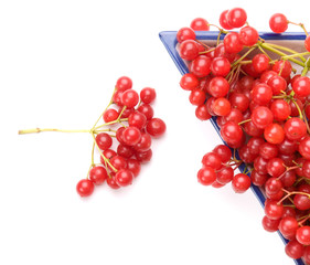 Fresh cranberries in dish isolated on white background