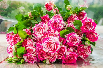 Beautiful purple tiger roses (floribunda) on a wooden background