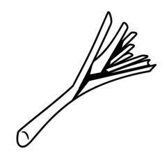 Gemüse lauch Natur Garten