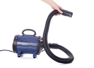 hair dryer for dog