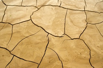 Siccità