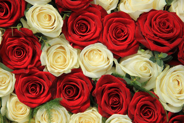Red and white roses in a wedding arrangement