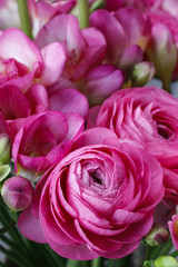 Bouquet of pink freesia flowers and pink persian buttercup