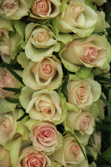 Pale pink roses in a wedding arrangement
