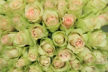 Pale pink roses in a wedding arrangement
