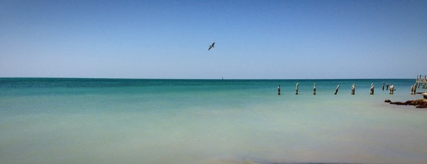 Key West Higg's beach spiaggia