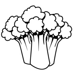 Gemüse broccoli Natur Garten