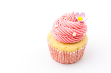 Vanilla cupcakes isolated white background