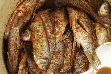 Salted fish - traditional thailand asia