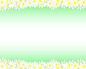 Background with daisies