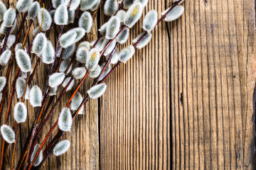 Willow branch on wodden board