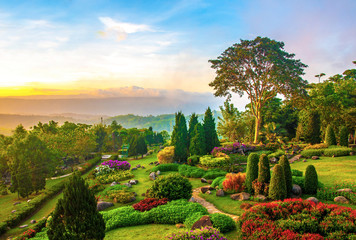 Beautiful garden of colorful flowers on hill