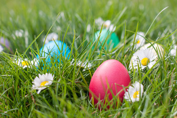 Easter Hunt