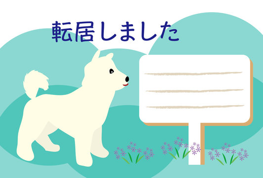白い犬 Images Browse 805 Stock Photos Vectors And Video Adobe Stock
