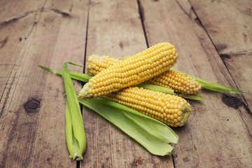 Fresh corn on wooden background