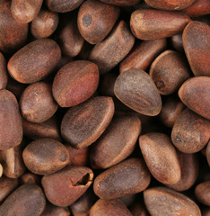 Bunch of pine nuts.