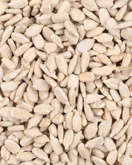 Background of sunflower seeds.