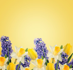 Holiday background with spring flowers  and empty  place for you