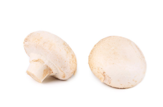 White mushrooms close up.
