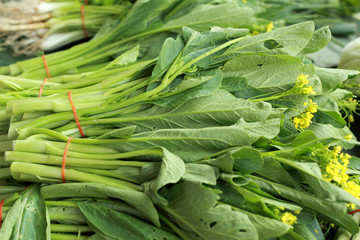 Fototapeta premium Chinese cabbage vegetables (Brassica chinensis)
