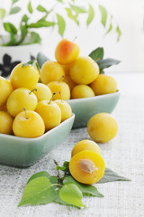 cherry-plum