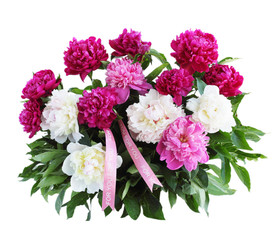 bouquet of peonies isolated