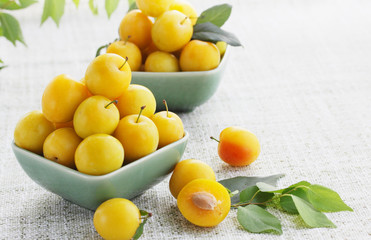 yellow cherry-plum