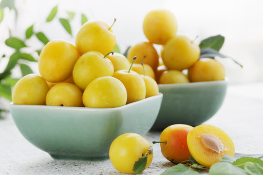 yellow plums, summer still life