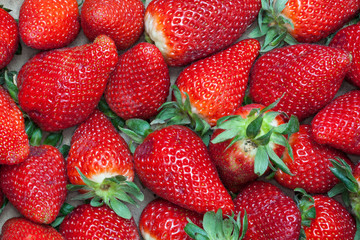 Fraises rangées en caissette