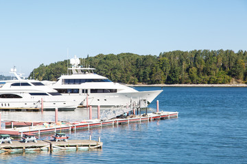 Fototapeta premium Two White Yachts in Maine Harbor