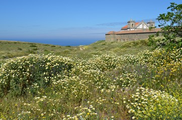 Blumenwiese mit Klosteranlage am Cabo Espichel