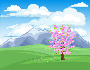 Spring Cherry tree blossom vector