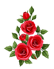 Fototapeta premium Branch of red roses. Vector illustration.