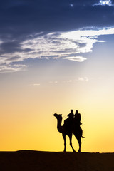 Fototapeta na wymiar A desert local walks with camel through Thar Desert