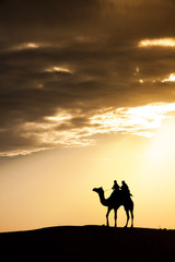 A desert local walks with camel through Thar Desert