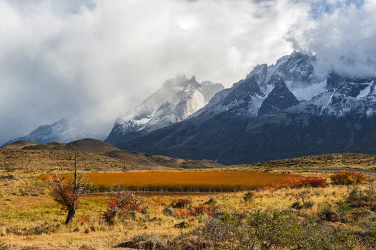 Autumn in Patagonia. The Torres del Paine National Park in the s