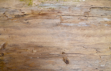 altes Holz Brett Holzwurm